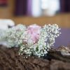 DSC00014 DSC00014